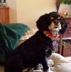 20150422_125618 (2)a