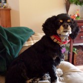 20150422_125618 (2)a