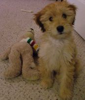 Squirt IMG_0394 a(2)