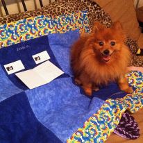 10645010_10152261644331498_4078252302434894230_na