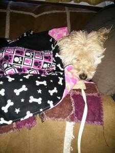 10950854_10153060188659747_1615810016_n