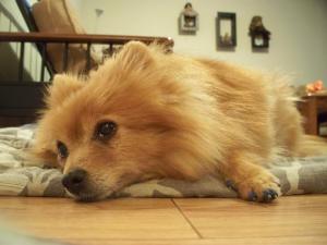 10500569_707629396001005_6161174155095029183_n