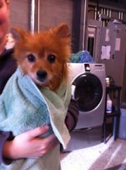 10930953_708422569255021_3212090464593762255_n