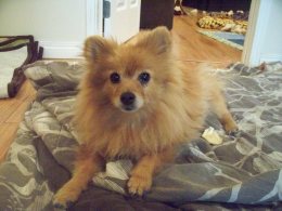 10959582_712831648814113_1404948793328439929_n