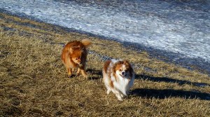 10609724_709676515796293_5836068035203547694_na