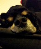 20141222_213133 (2)a