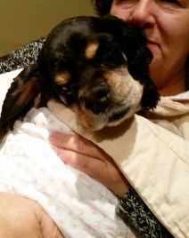 20150516_180959 (2) a