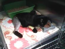 11425762_907233502668449_1886039821417125743_n