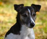 553182_541526959248660_1081429795_n