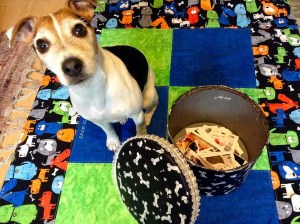 12741988_1123799554337239_8259715093965554656_nA