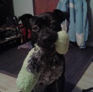 1558437_594437880624234_1530945038_n