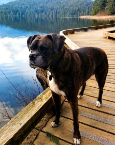 Raiin & Koda In Memory P