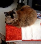 Muffin IMG_0106 (2A)