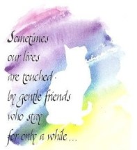 74a759bd3aaf764c7004ee3e02f0a3da