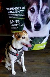 13614965_1035490406518977_8903313380822749215_nA