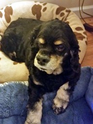 meea-14328903_10155016633745110_13250978_n