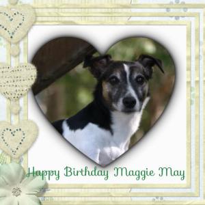 16194922_1428716423845549_5957539867795831807_n