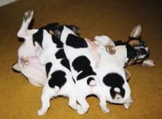 Playtime with Mama Camile