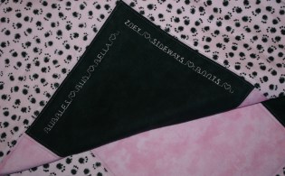 bubbles-plus-10-img_4853